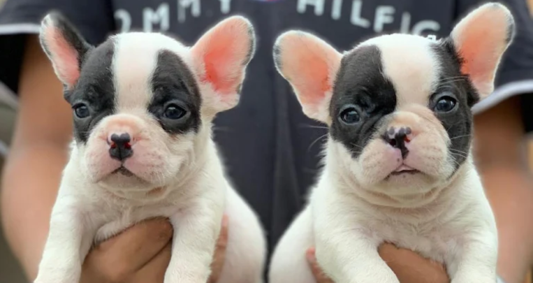 2024-08-11 (1).webp.png